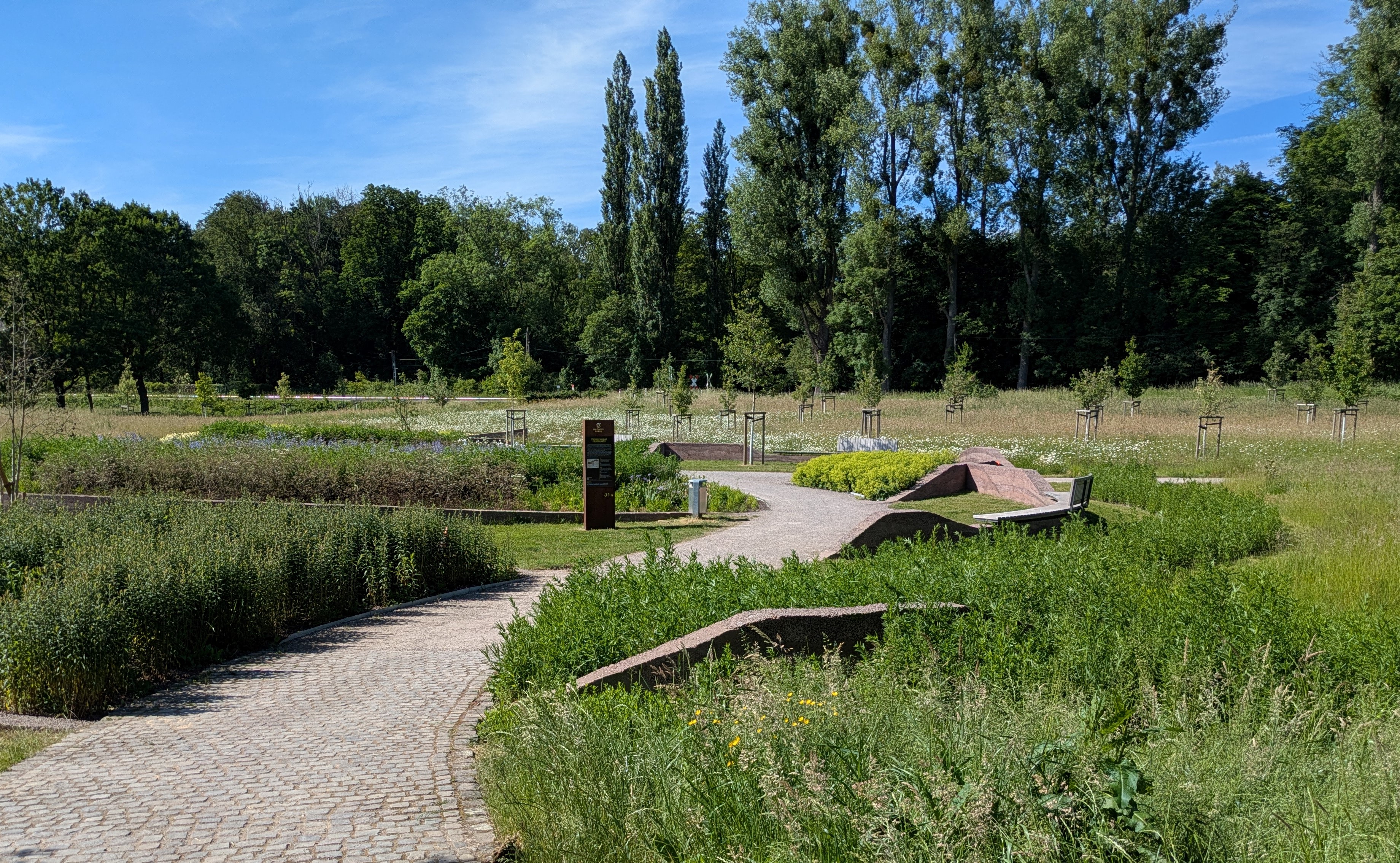 Cromfordwiesen als Best-Practice-Beispiel für „Grün in die Stadt“